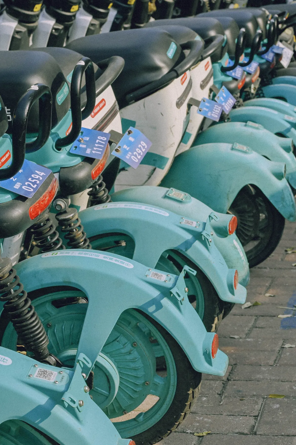 Eine Reihe geparkter E-Roller auf einem Stadtpflaster – typische Rollerverleih-Flotte in touristischer Lage